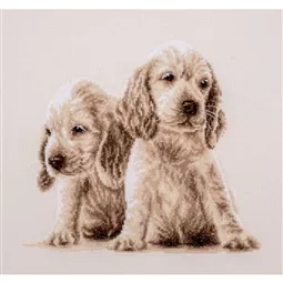 Two Puppies