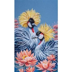 Black Crowned Cranes