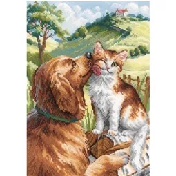 Like Cat and Dog