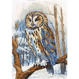 Wise Owl