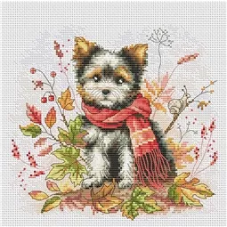 Yorkie