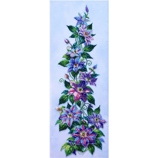 Clematis