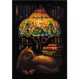 Book Evening