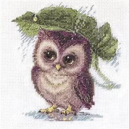 Raindrop Owl