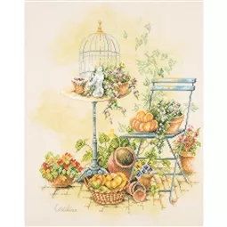 Free From the Birdcage
