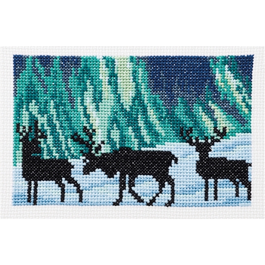 Reindeer in Northern Lights