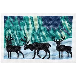 Reindeer in Northern Lights