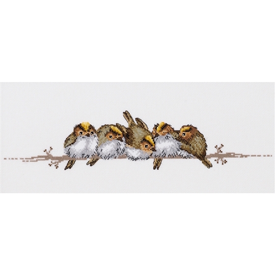 Golden Crested Wrens