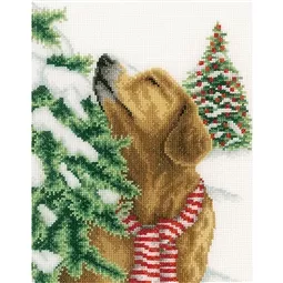 Dog in Winter
