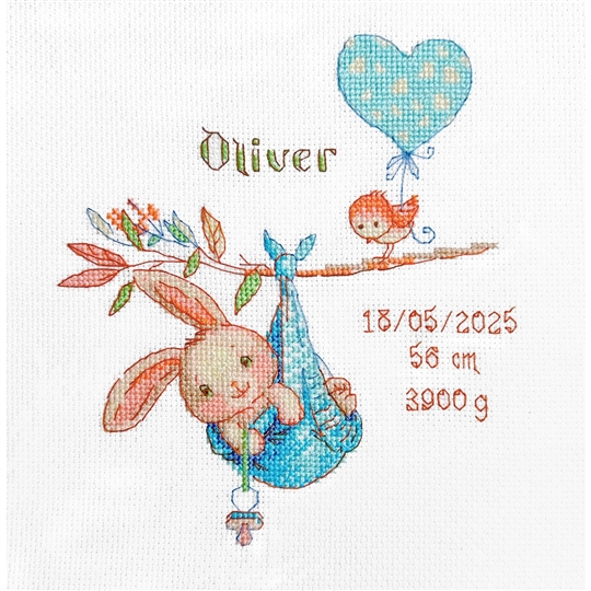 Boy Birth Sampler
