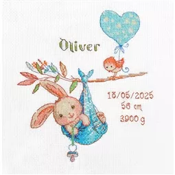 Boy Birth Sampler