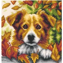 Dog in Autumn