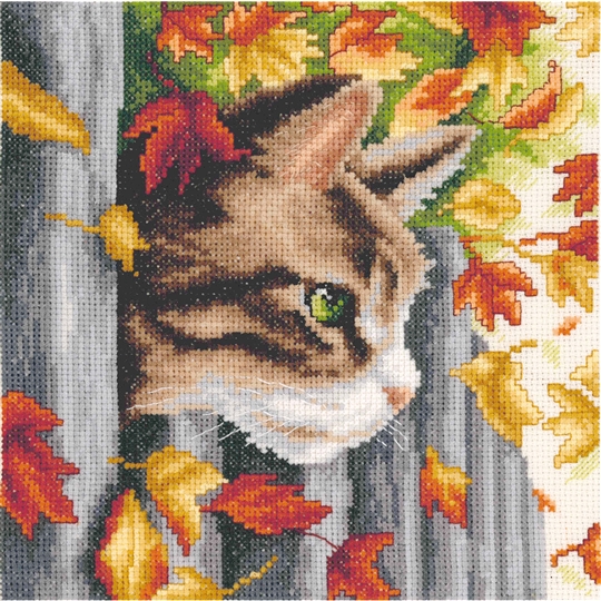 Kitten at the Fence