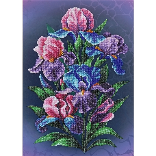 Irises