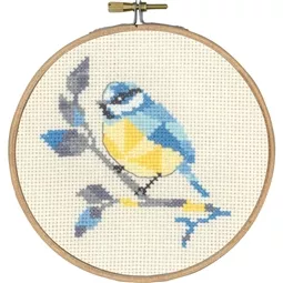 Bluetit