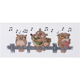 Owl Serenade