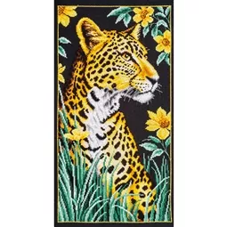 Spots Among the Petals