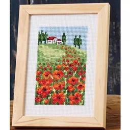 Poppies
