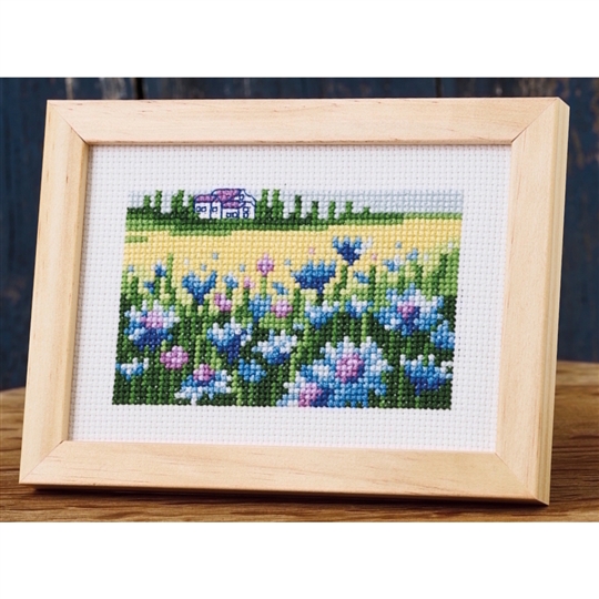Cornflowers
