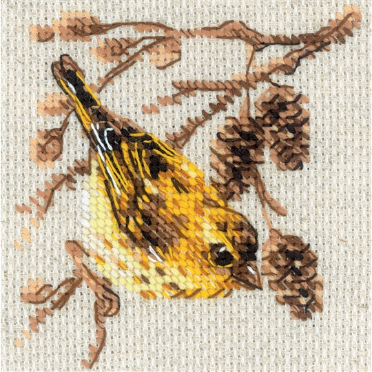 Siskin