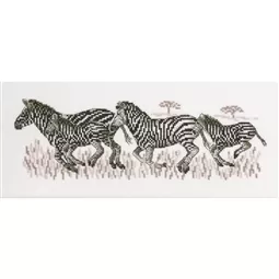 Zebras