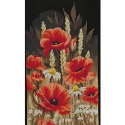 Wild Poppies