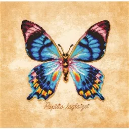 Papilio Laglaizei