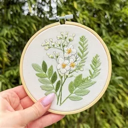 Achillea Ptarmica