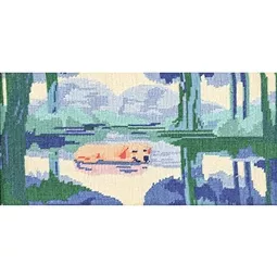 Forest Nap