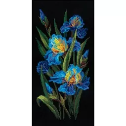 Beautiful Irises