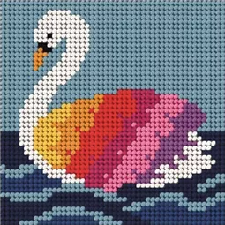 Rainbow Swan