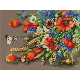 Treasures of the Meadow