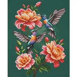 Hummingbird Waltz