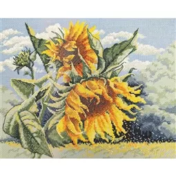 Sunflowers in the Wind