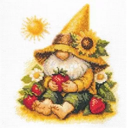 Sunshine Gnome