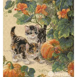 Pumpkin Patch Chase